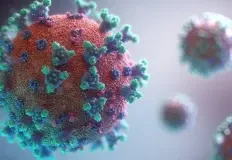 virus
